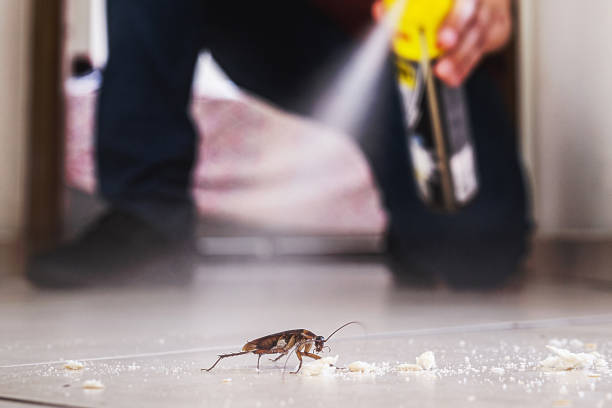 Best Wildlife Control Services  in Greensboro, GA