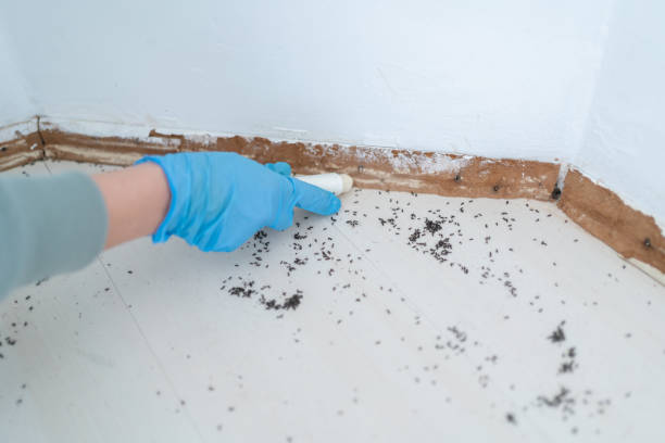 Best Mosquito Control Services  in Greensboro, GA
