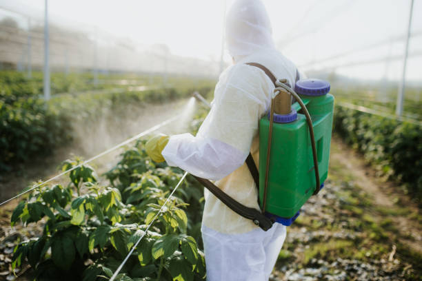 Best Pest Removal Services  in Greensboro, GA